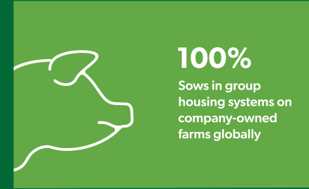 100% Sows in group housing systems on company-owned farms globally